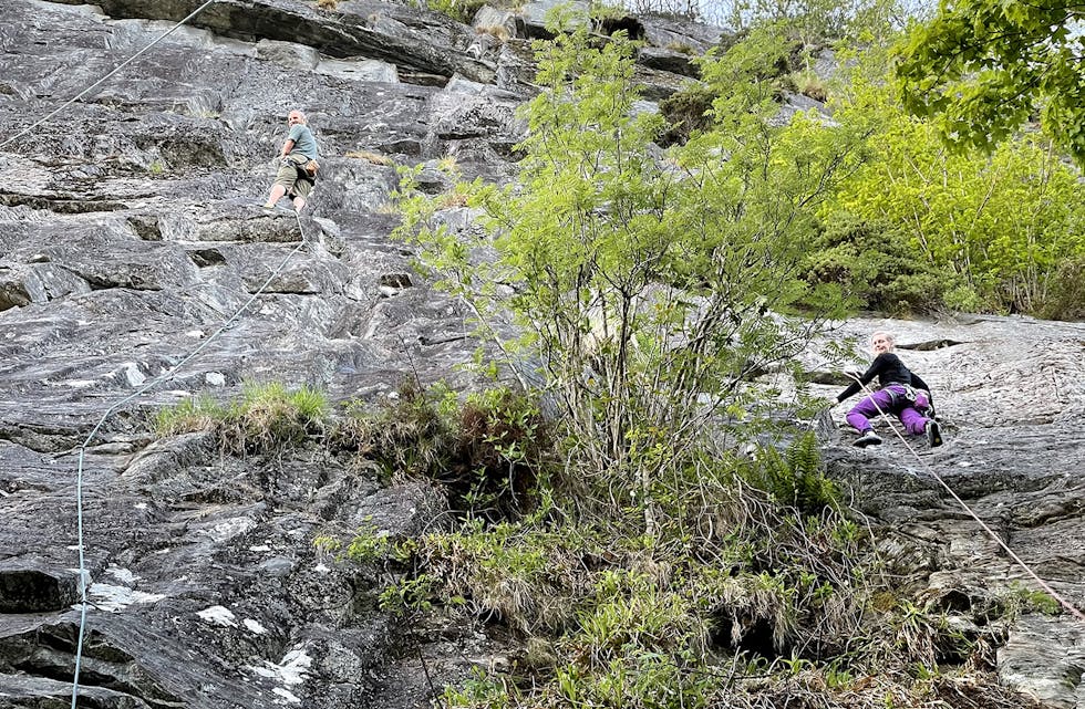 UTSIKT: Erik Botnmark og Annette Gjeterud på veg mot toppen. Når klatrarane kjem opp over tretoppane, kan dei nyte utsikta ut over Syltefjorden, og Som ein av deltakarane denne kvelden sa: – Ein får same utsikta som frå toppen av fjellet, men det er noko heilt anna å stå her i veggen.