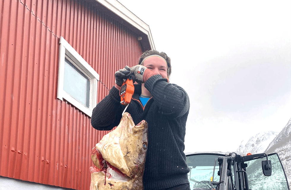 STORTORSK: Tett på 27 kilo viste vekta for torsken som Christoffer Ervik Røys her veg. Fisken har no hamna i salt og skal verte klippfisk. FOTO: Privat, Grethe Ervik