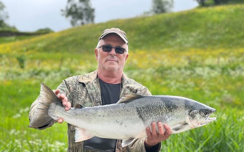 STORFANGST: Dette eksemplaret som Tore Bjørneset fekk sist veke er den førebels største laksen som er fiska i elvane i Vanylven i år. FOTO: FOTO: Silje Bjørneset 