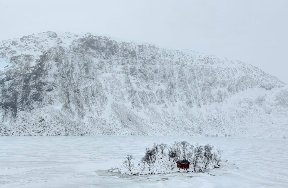 328920550_980158473391414_3506384590882850671_n