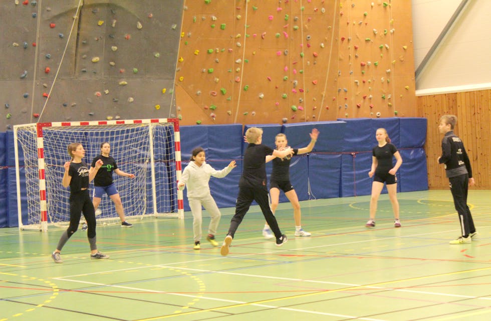 KLART FOR SKOT: eit spanande augeblikk foran målet til J9 i handballkampen mot G12 som endte 6-4 i favør G12.