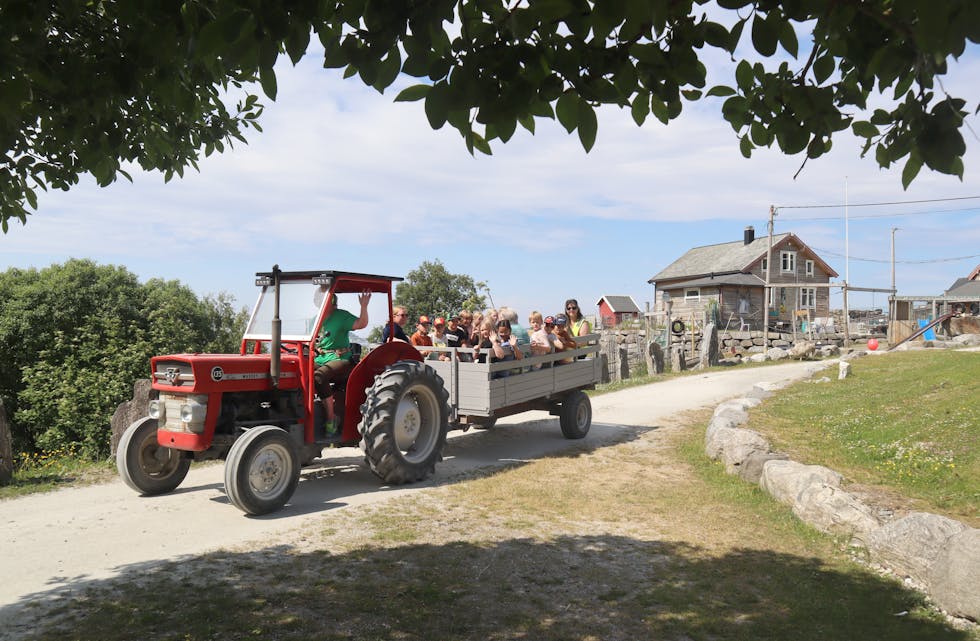 TRAKTORTUR: Den stødige, gamle Massey Ferguson-traktoren tek ungane med på tur gjennom garden,ein rundtur ned på Sandviksanden, og tilbake. Ein populær attraksjon.