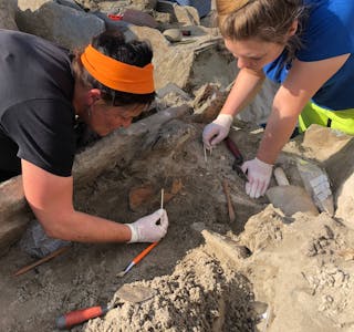 NØYSOMMELEG ARBEID: Her ser vi arkeologar grave ut den gamle hotelltomta i Selje. FOTO: Universitetsmuseet, UiB