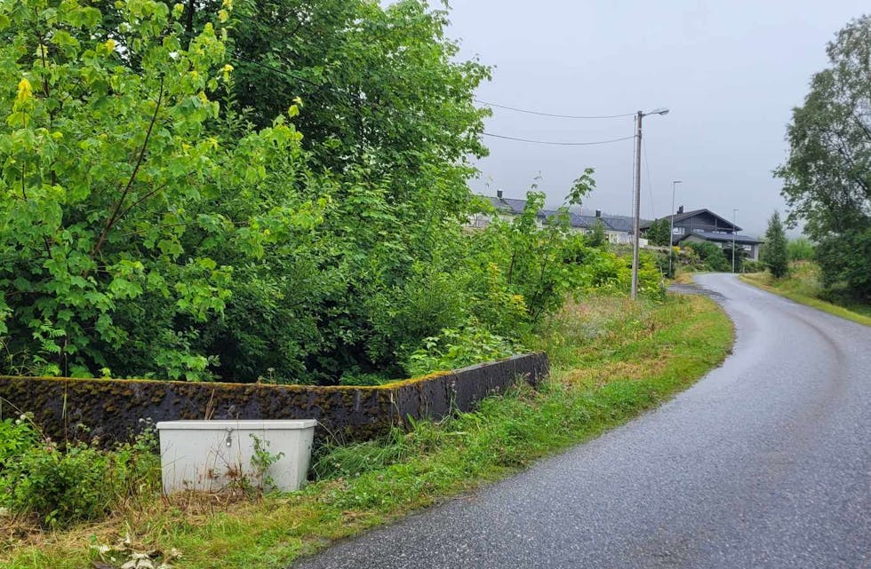 HOL VED VEGEN: Her ved brukanten ved Steinetehaugane på Rovde melde turgåarar frå om hol i vegen etter at ein 2-åring fall ned i. Heldigvis gjekk det bra.