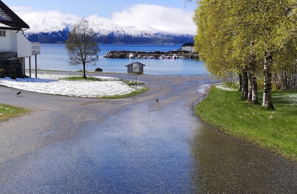 SNØ? Vert det snø i mai i år, slik det var her i 2020?