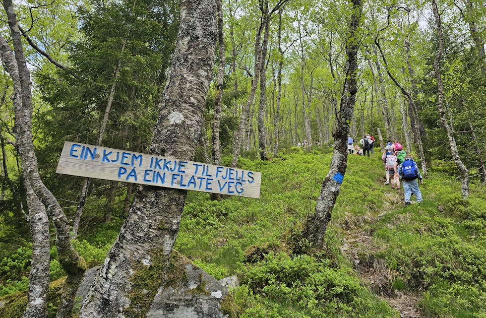 KLOKE ORD: Dei hadde ikkje problem med å kome seg på Ivasetra,
elevane frå 2. til 7. klasse på Myklebust skule tysdag. Skulen nytta det fine vêret til utedag.