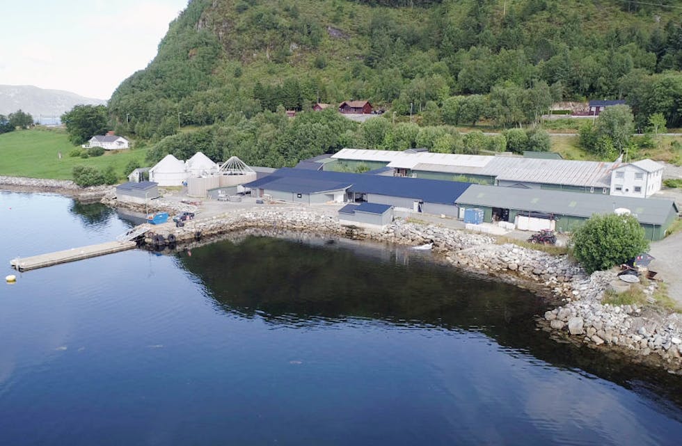 STOGG: Frå neste sommar vert det slutt for poduksjonen av reinsefisk i anlegga på Sighaug. Arkivfoto: Arild Skorge