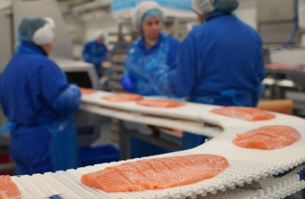 Frå fabrikken i Syvde. Foto: Hofset